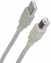 Value Series 2M USB Lead (A Male to B Male)
Click to view product details