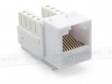6x CAT6 Wall Plate (RJ45 Keystone Punchdown) (Thumbnail )