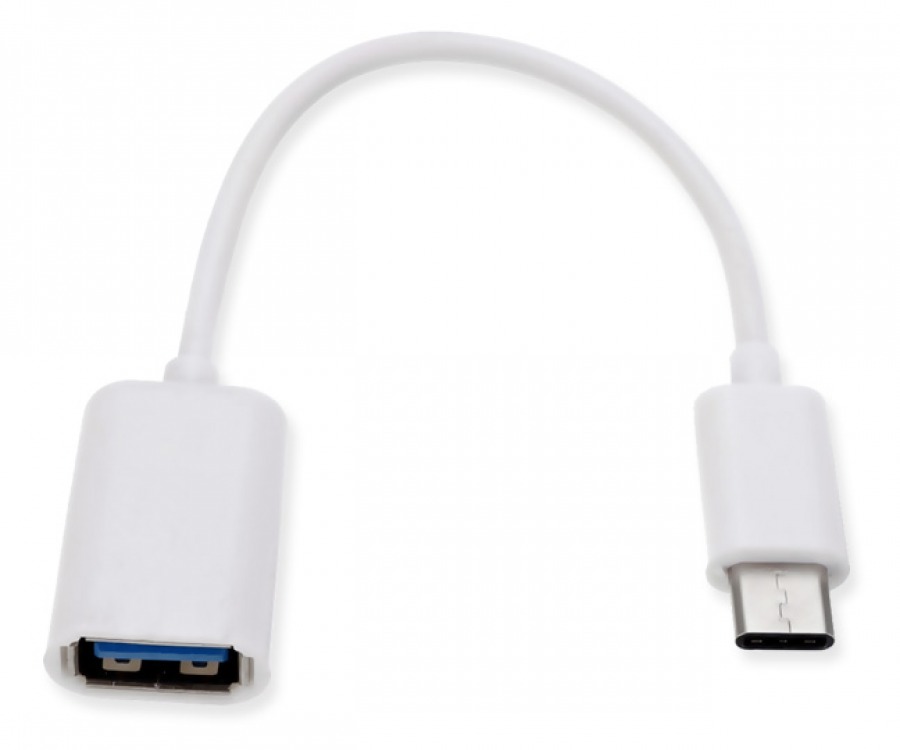 10cm USB-C OTG Cable (USB 2.0 Interface - White) (Photo )