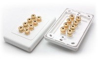 Premium 4 Speaker Hi-Fi Wall Plate (4 Red & 4 Black Terminals - Clipsal 2000 Compatible)